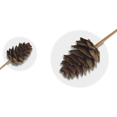 9cm Dcorative Bamboo Pine Cones Food Fruit Picks